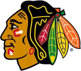 Chicago Blackhawks Hockey Cards