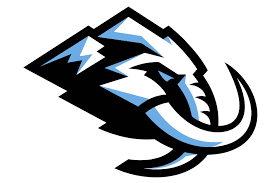 Utah Hockey Club Hockey Cards