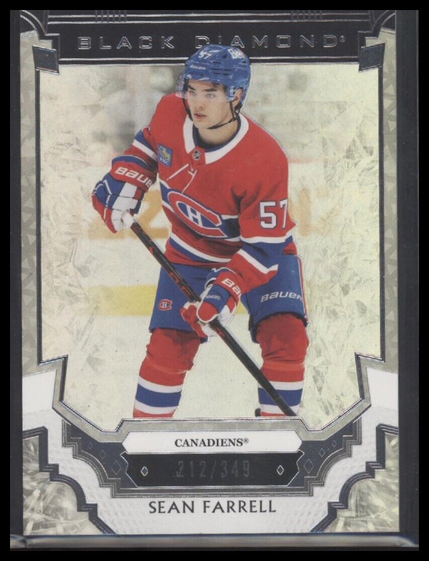 2023-24 Upper Deck Black Diamond #BDB-SF Sean Farrell #/349